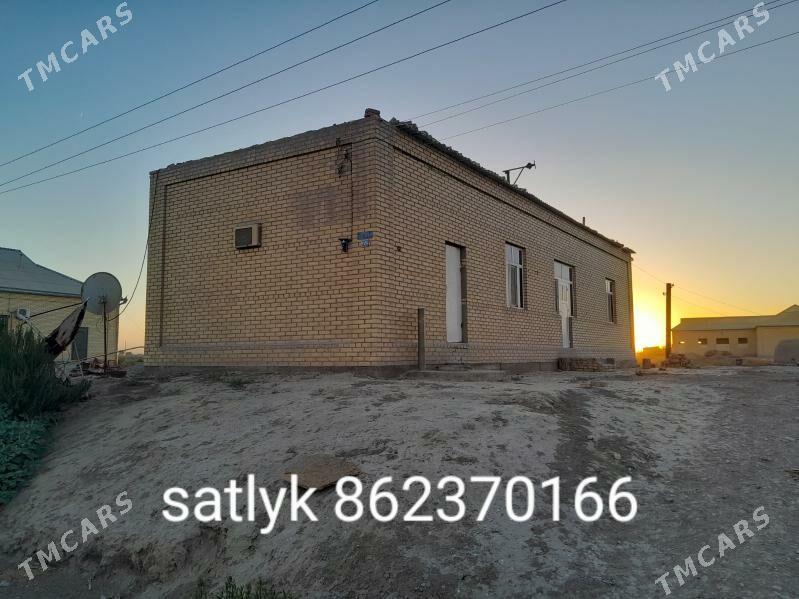 satlyk jay - Sakarçäge - img 5