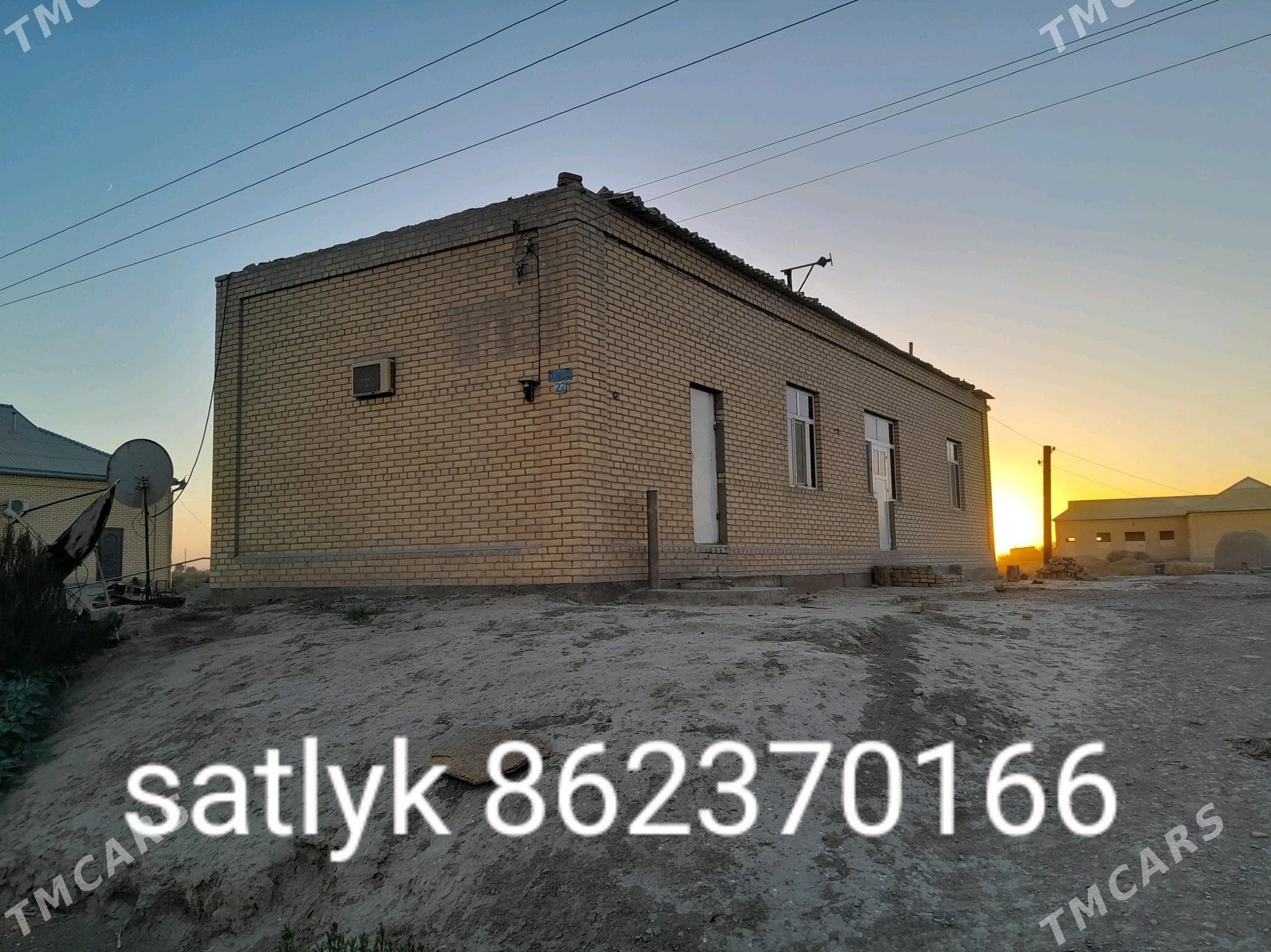 satlyk jay - Sakarçäge - img 6