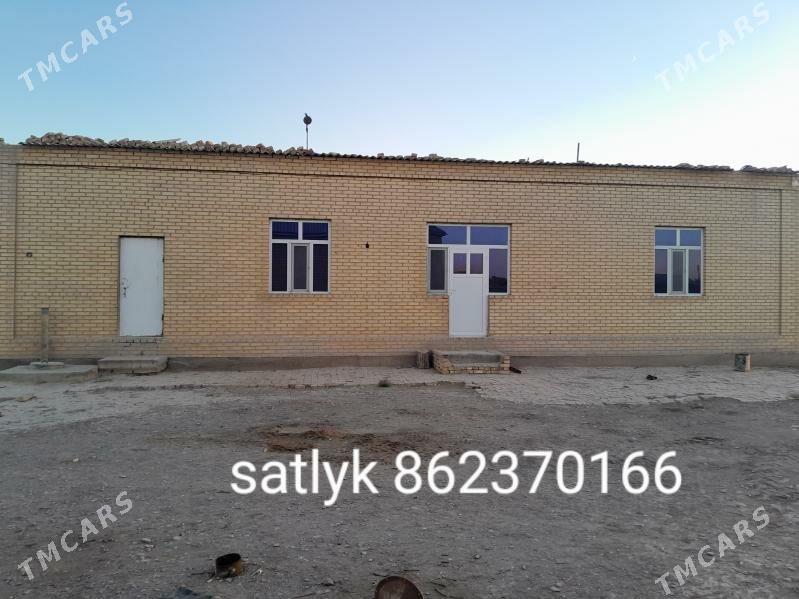 satlyk jay - Sakarçäge - img 4