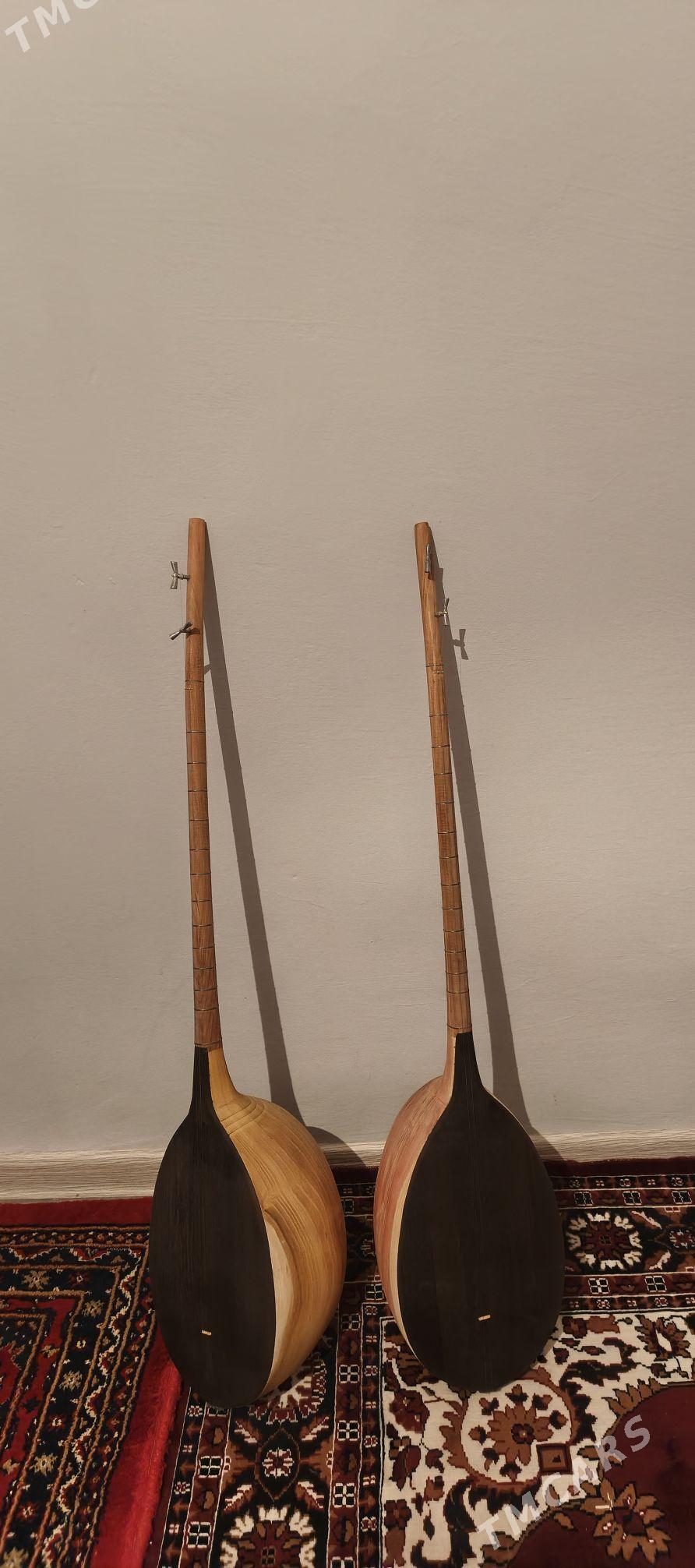 taze dutar - Bäherden - img 2