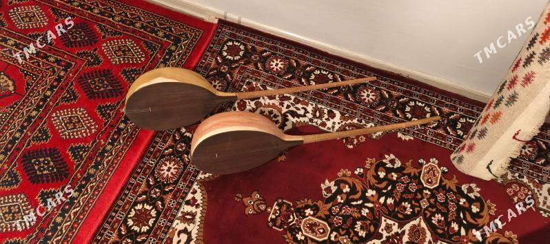 taze dutar - Bäherden - img 4