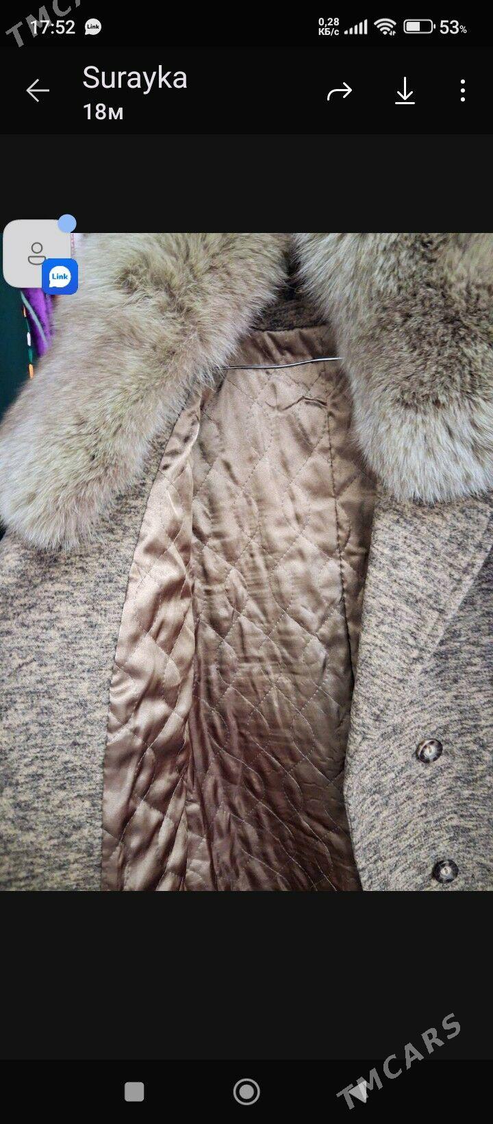 palto - Дашогуз - img 4