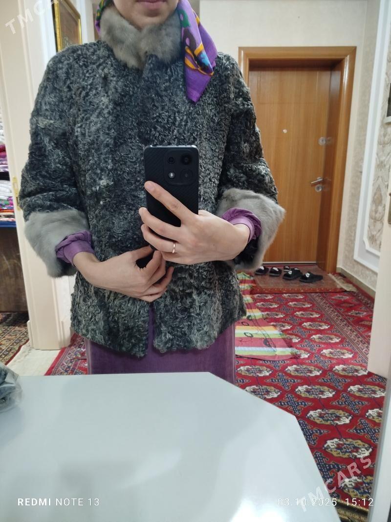 original bagana - Кëши - img 2