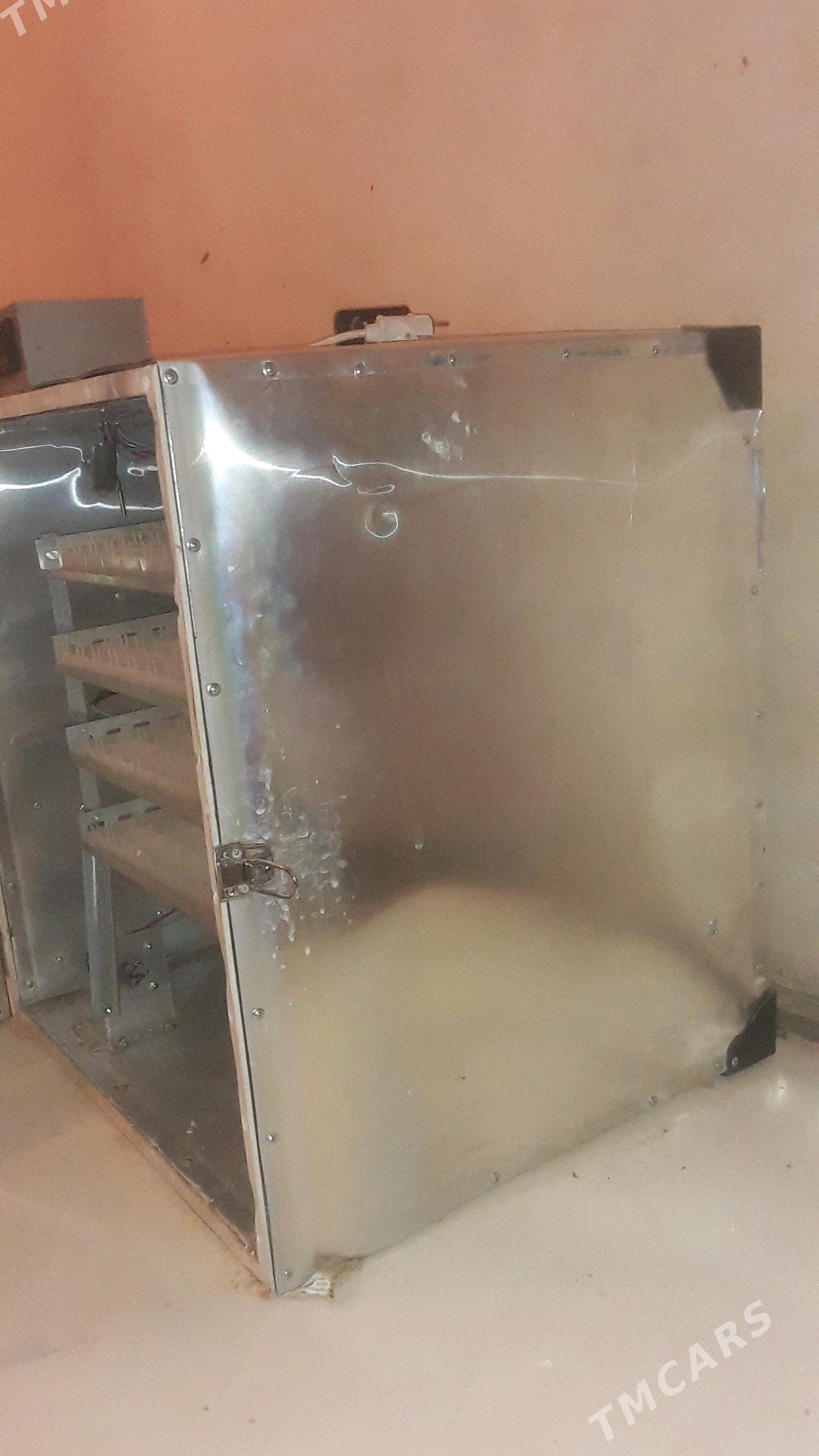 inkawator - Sakarçäge - img 2