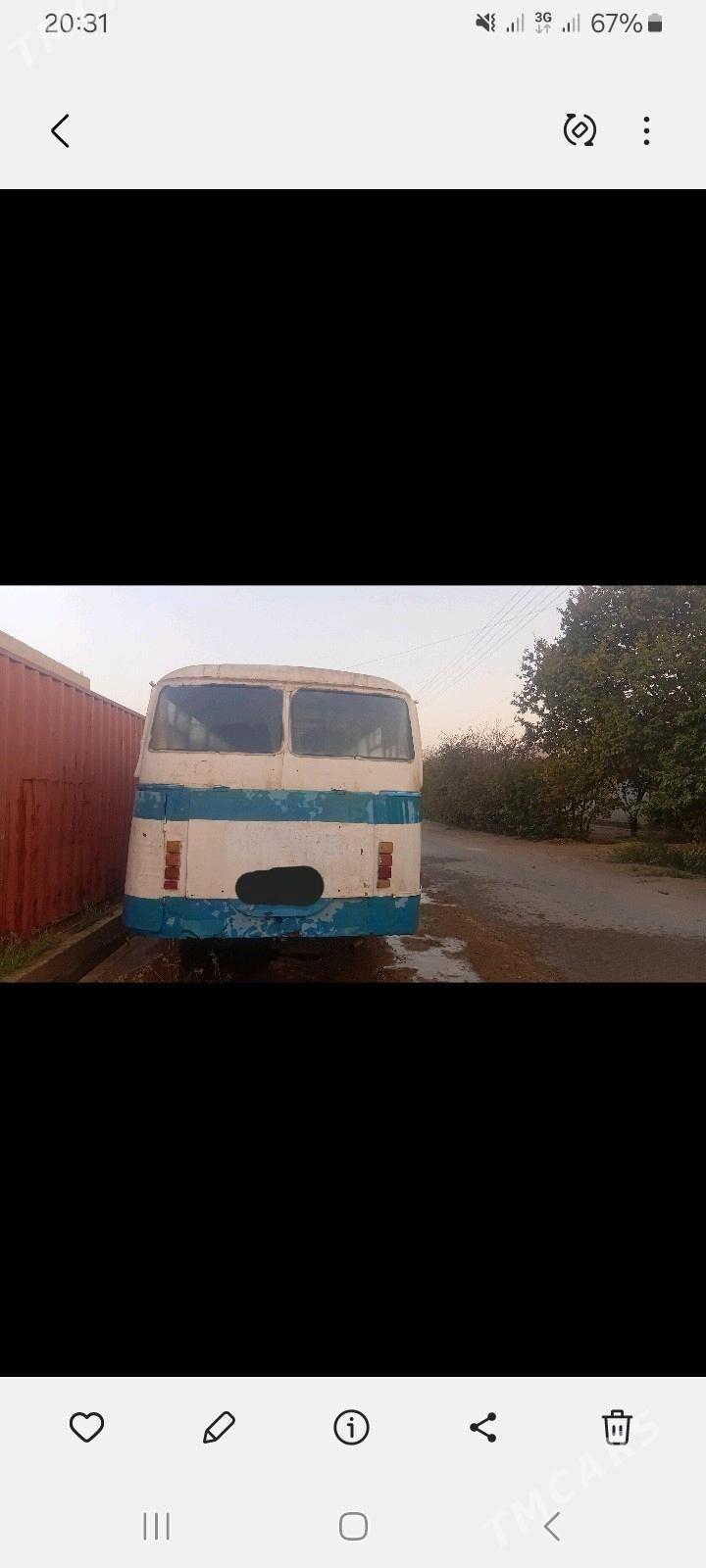 ПАЗ 3203 1986 - 40 000 TMT - Saýat - img 2