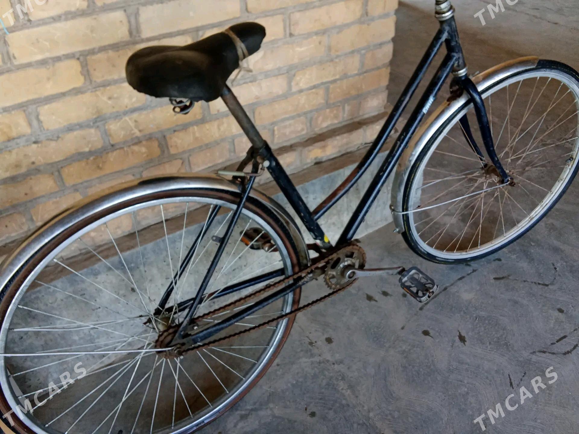 tikir - Garabekewül - img 2