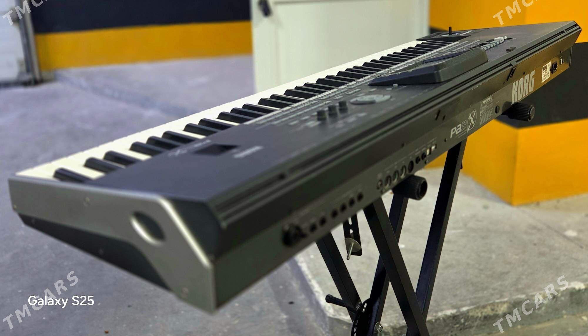 KORG PA3 - ул. Московская (10 йыл абаданчылык ш.) - img 4