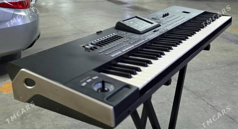 KORG PA3 - ул. Московская (10 йыл абаданчылык ш.) - img 8