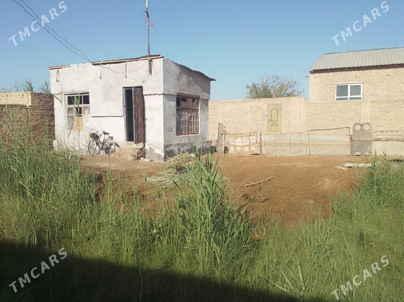 daca - Туркменабат - img 3