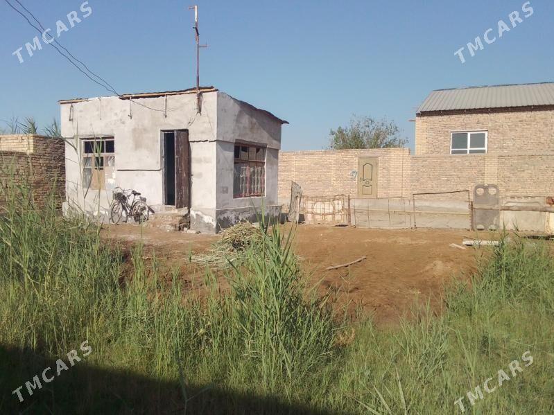 daca - Туркменабат - img 5