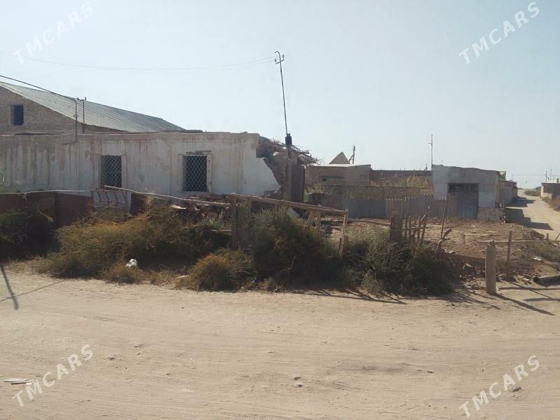 daca - Туркменабат - img 2