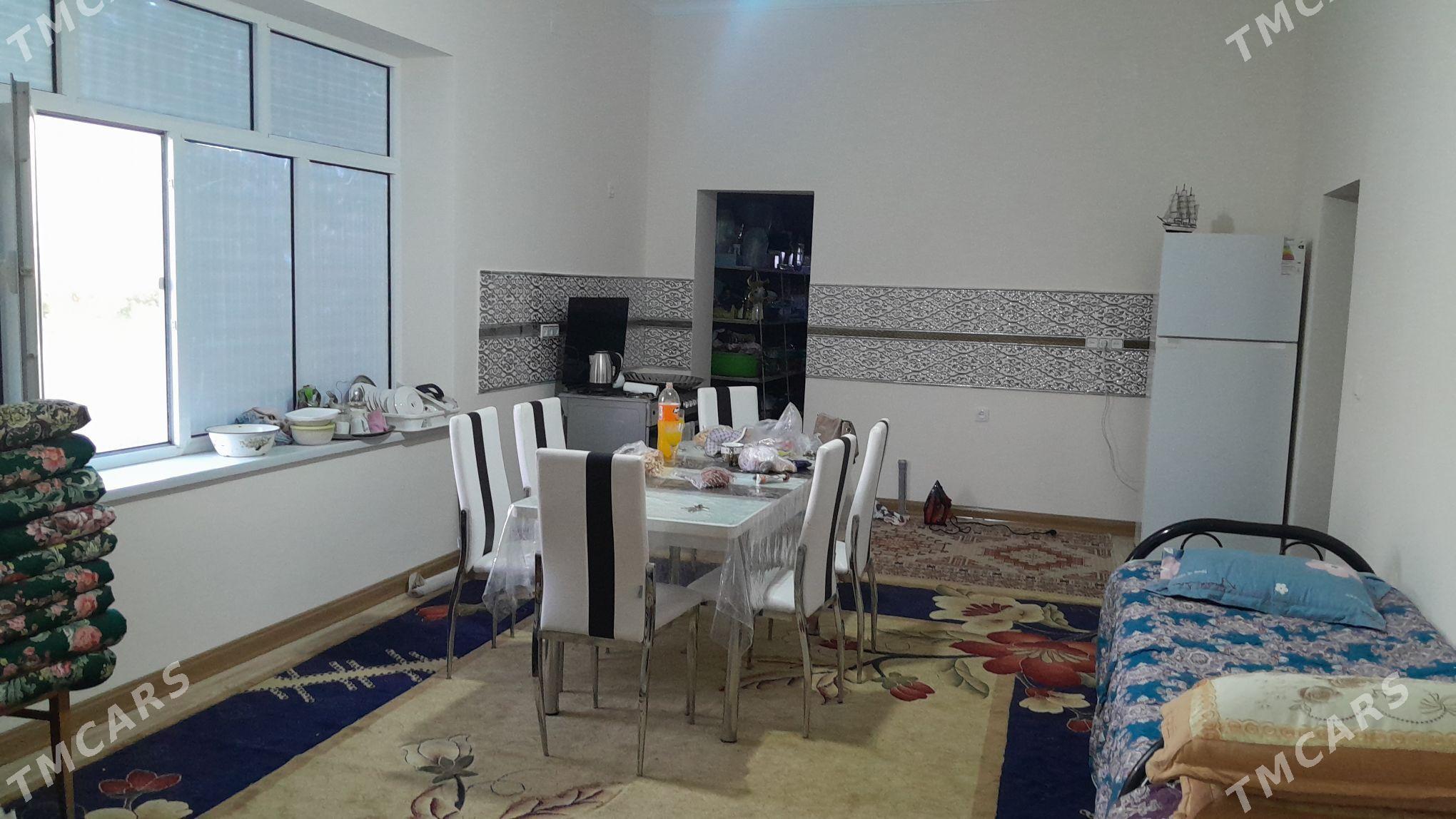 satlyk howly jaý - Dostluk - img 3