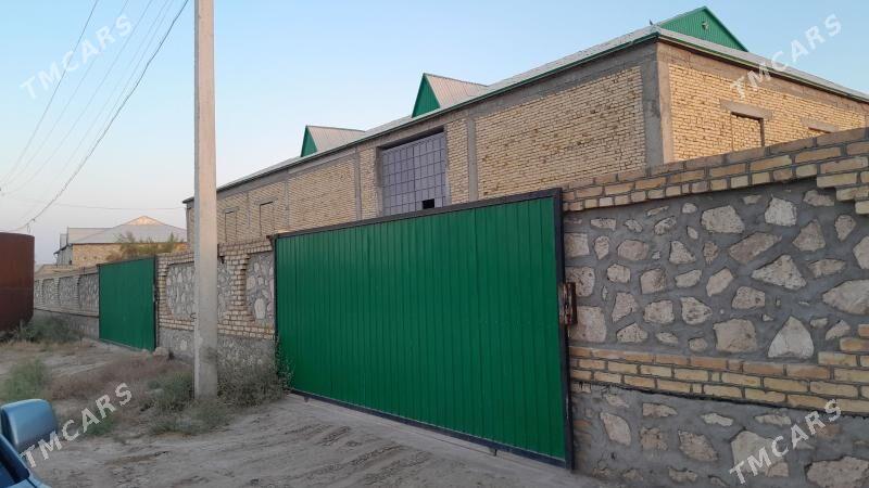 satlyk howly jaý - Dostluk - img 4