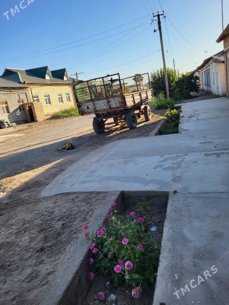 MTZ 80 1999 - 130 000 TMT - Dänew - img 1