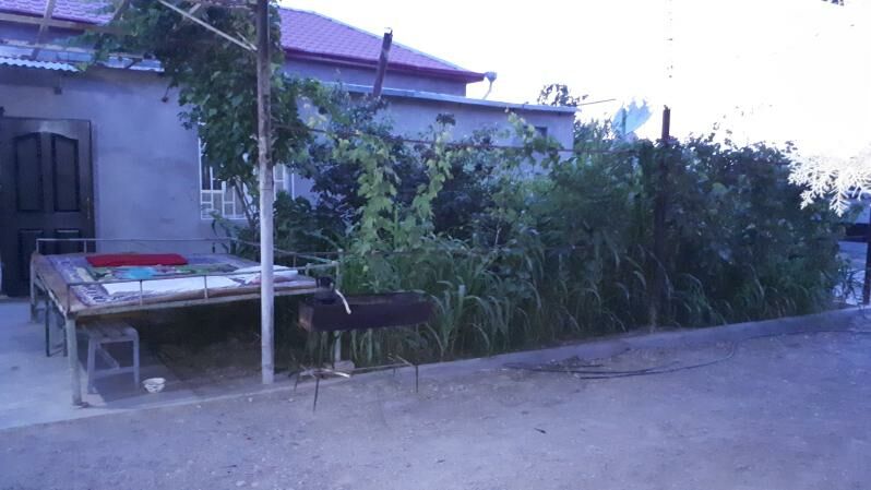 Şatlyk Jaý 16 sotok - Бахарден - img 9