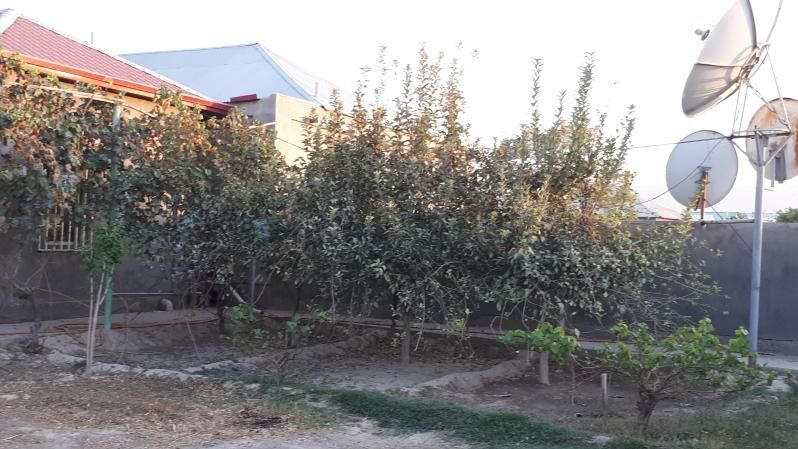 Şatlyk Jaý 16 sotok - Бахарден - img 2