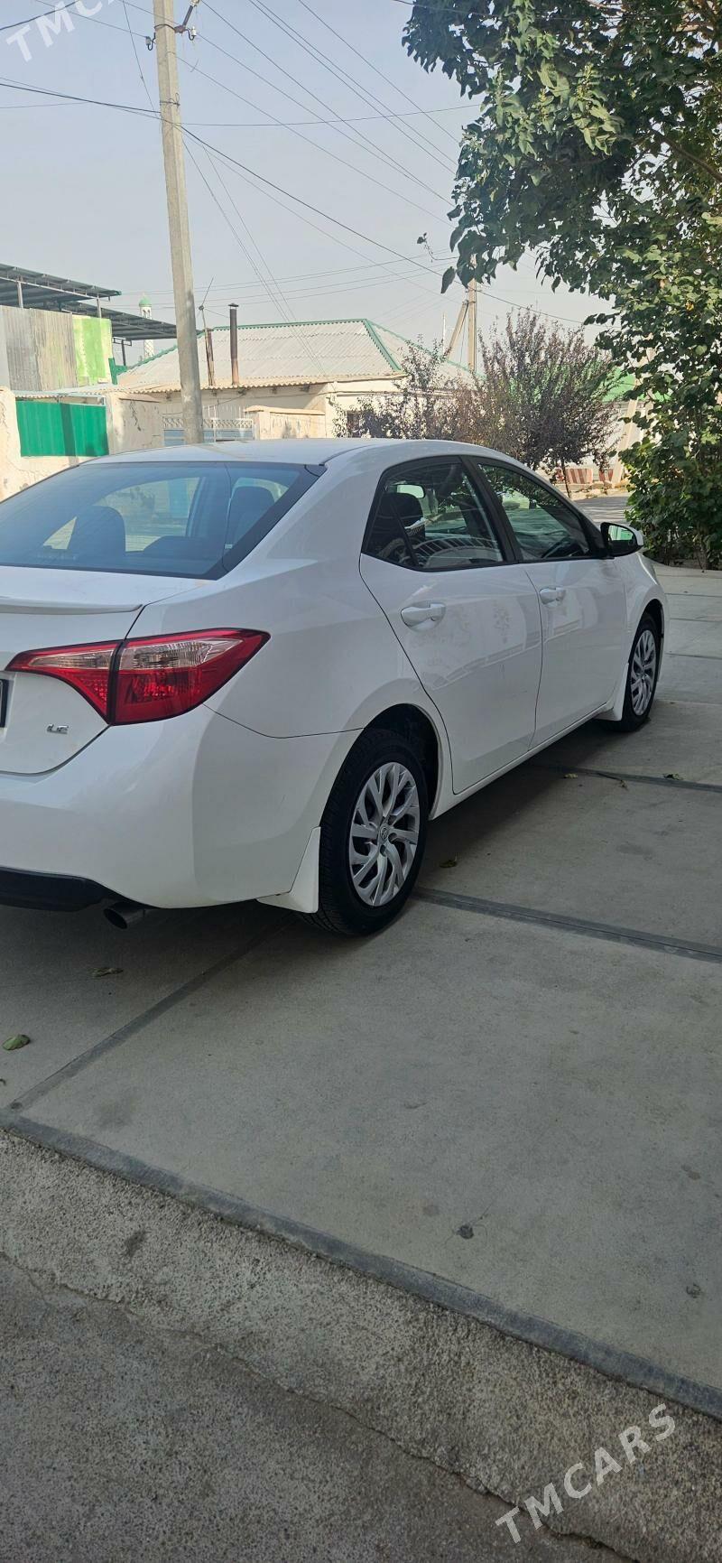 Toyota Corolla 2019 - 205 000 TMT - Ашхабад - img 3