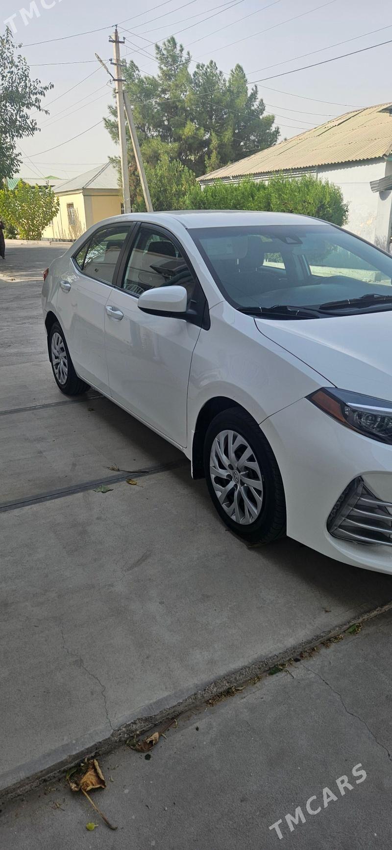 Toyota Corolla 2019 - 205 000 TMT - Ашхабад - img 2
