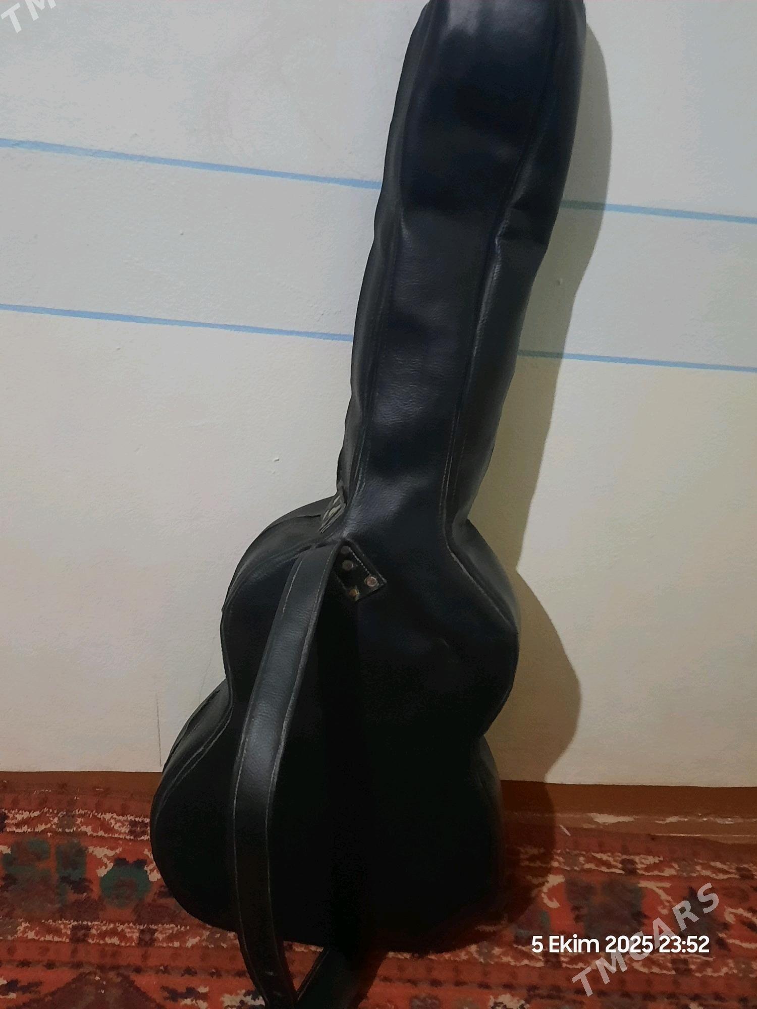 gitara cehol - Керки - img 2