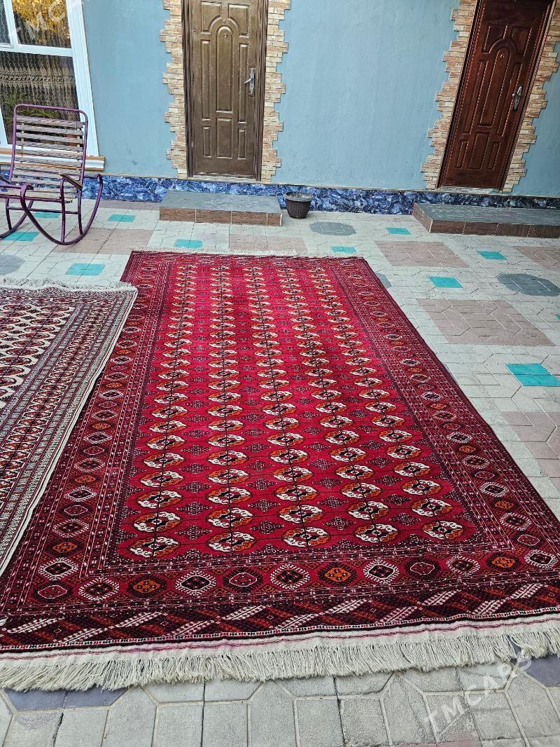 Haly - Aşgabat - img 4