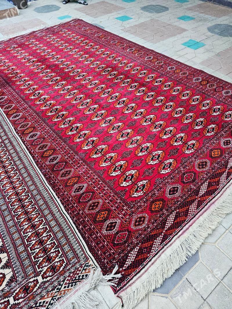 Haly - Aşgabat - img 3