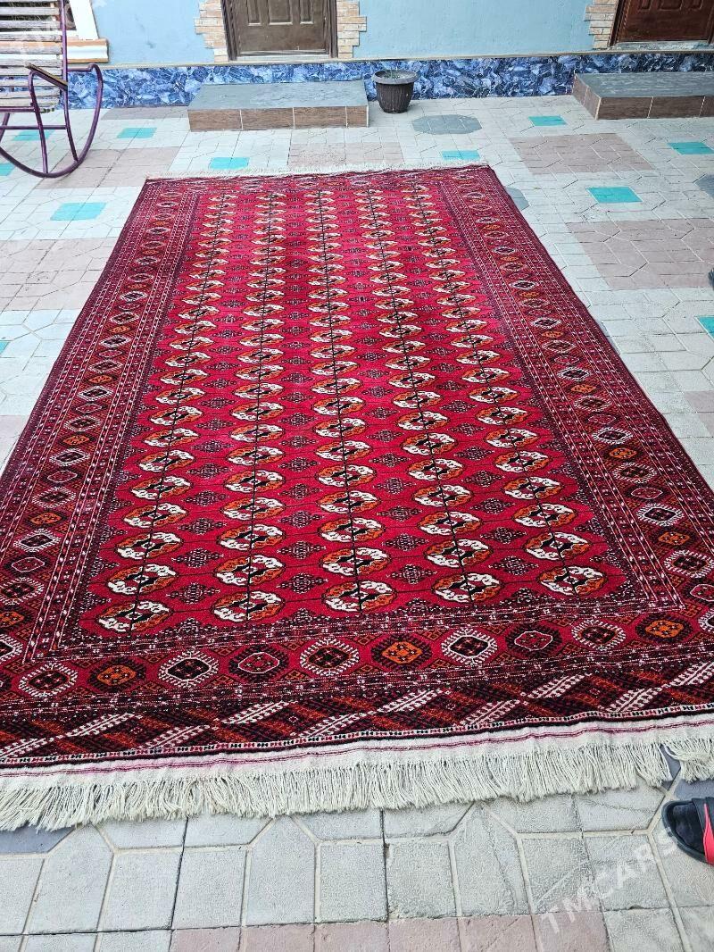 Haly - Aşgabat - img 2