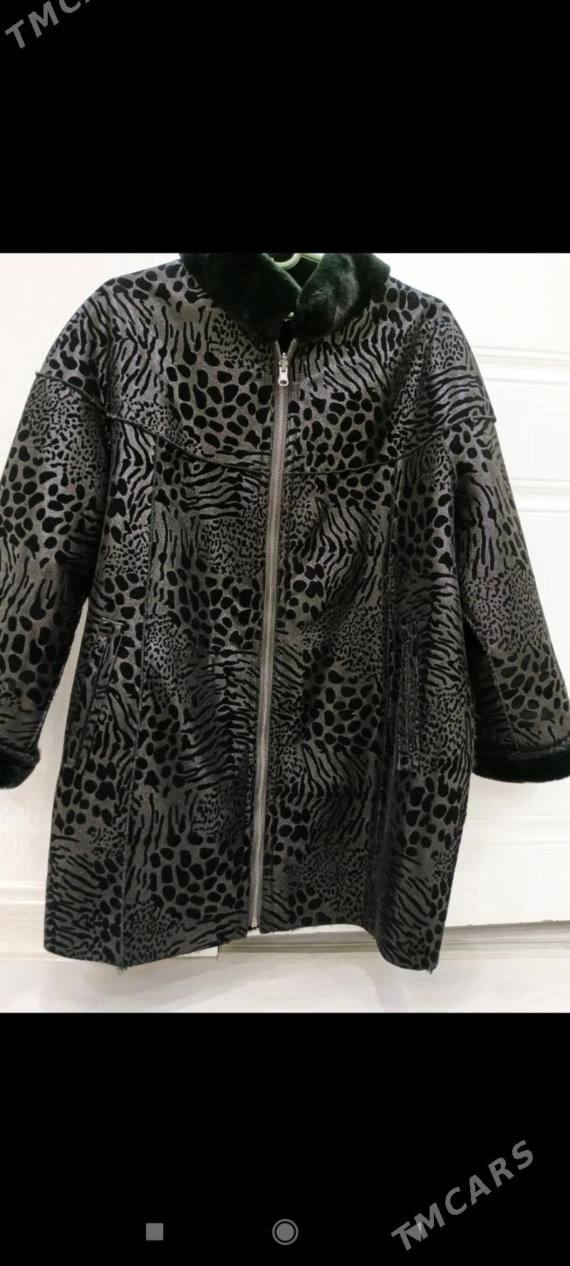 Şuba - Balkanabat - img 2