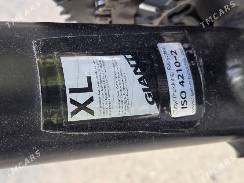 Велосипед Giant 28 - Aşgabat - img 5