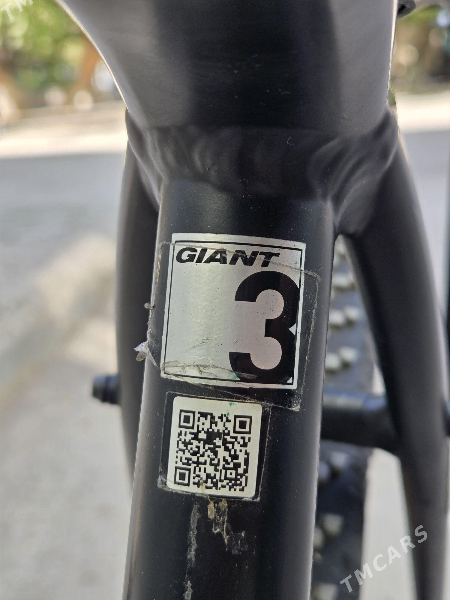 Велосипед Giant 28 - Aşgabat - img 4