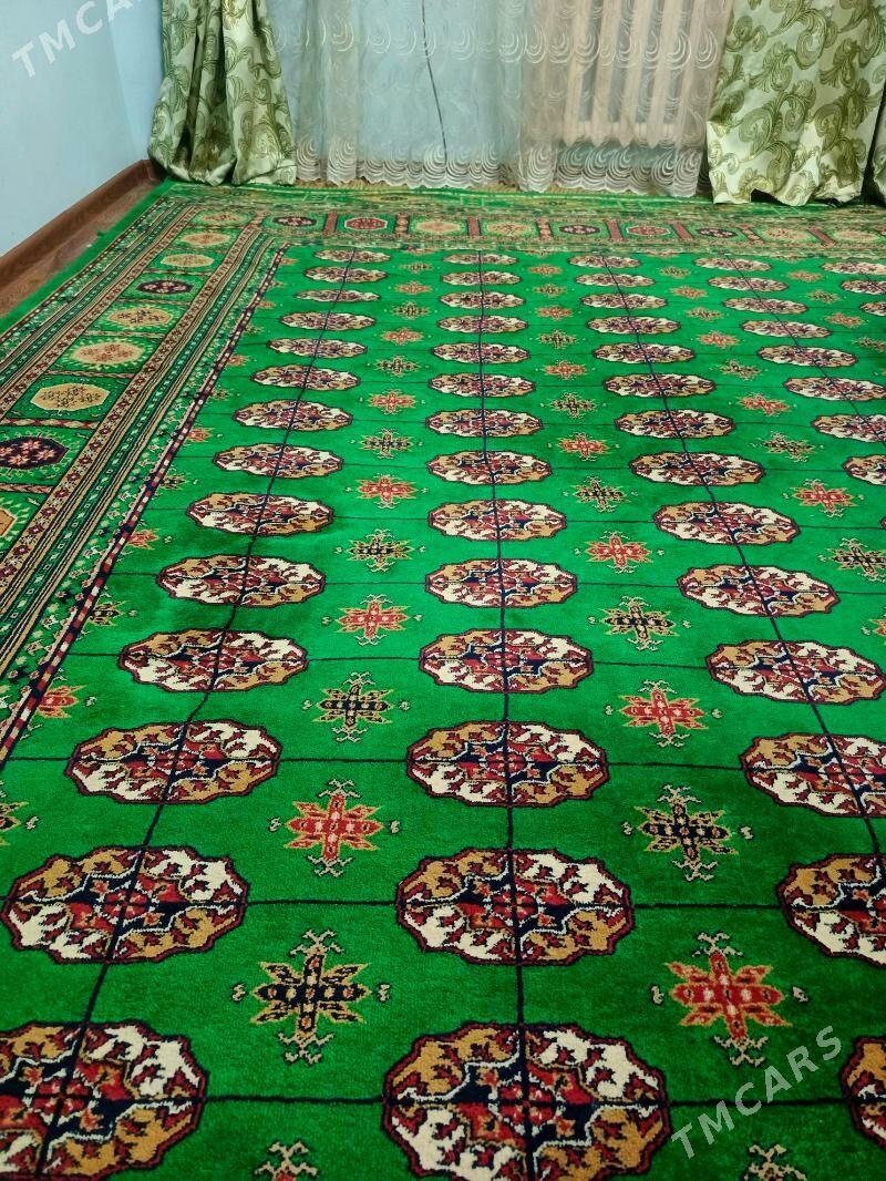 haly we tuty - Aşgabat - img 2