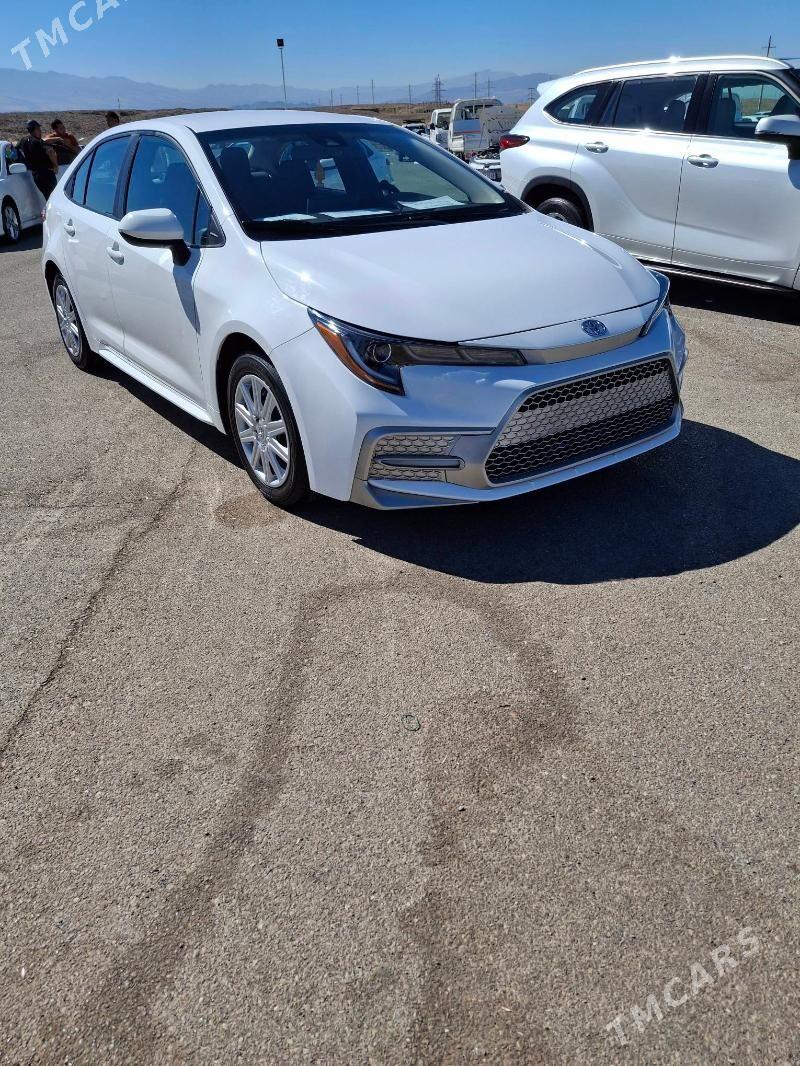 Toyota Corolla 2020 - 230 000 TMT - Ашхабад - img 6
