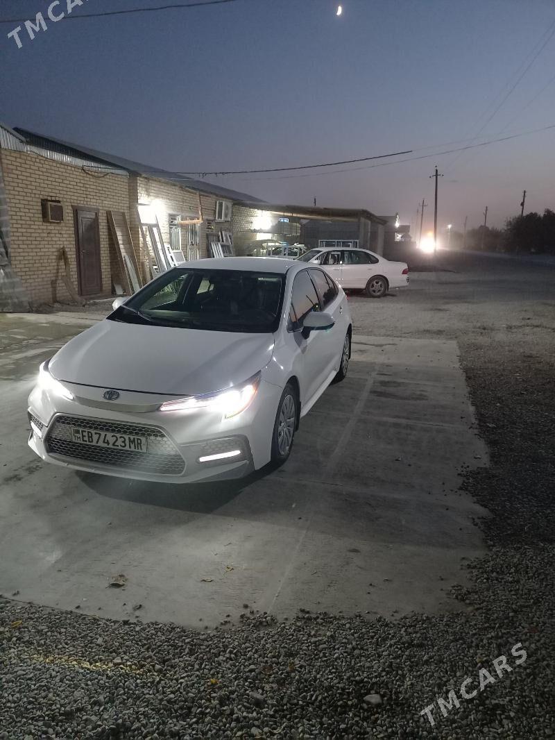 Toyota Corolla 2022 - 250 000 TMT - Мары - img 5