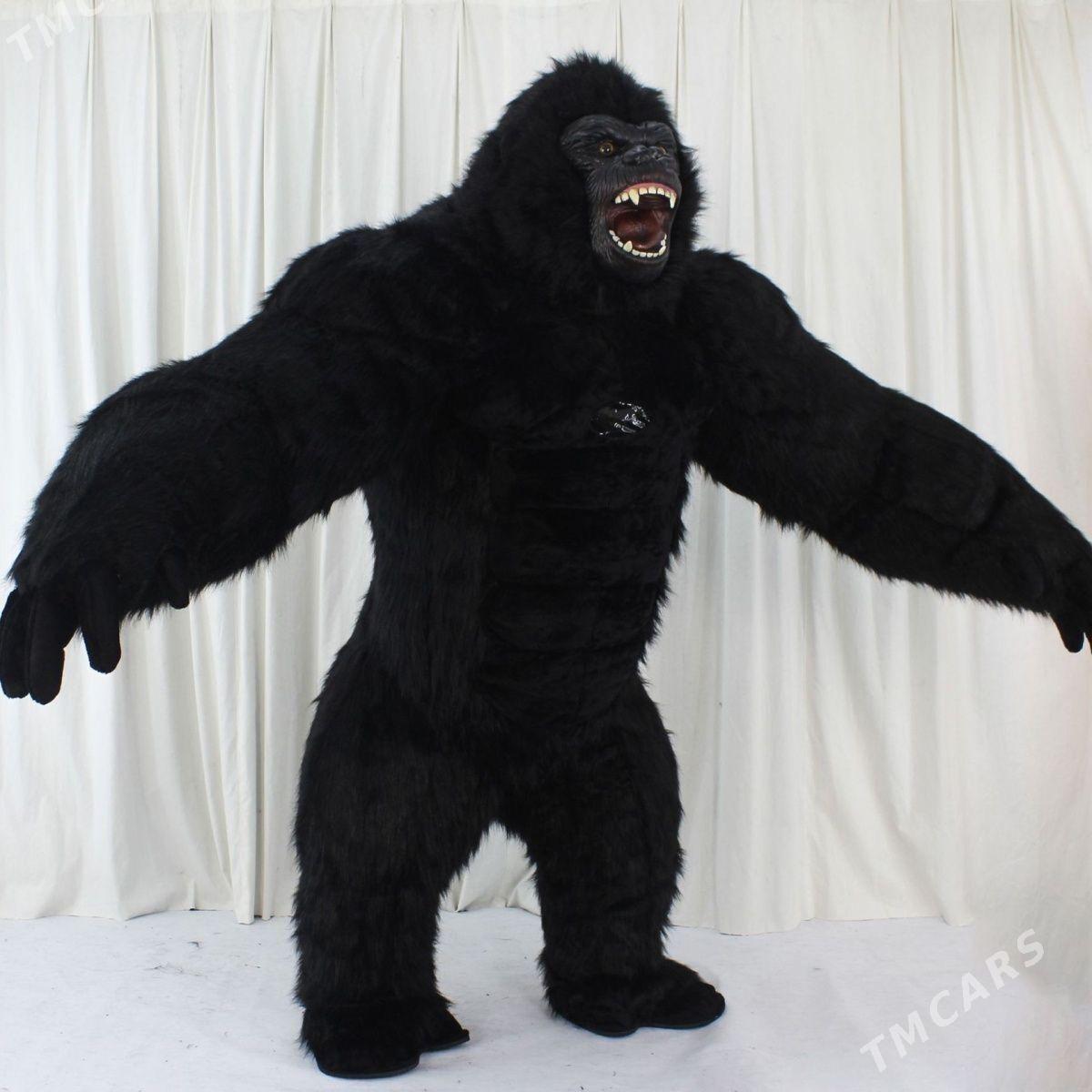 Show Gije Gundiz tans oynayan miskalar animator Animator аниматор клоун мишка Miska miska supriz show tans edyan Miskalar klounlar Mishka ak ayy Gorilla gorilla - Ашхабад - img 2
