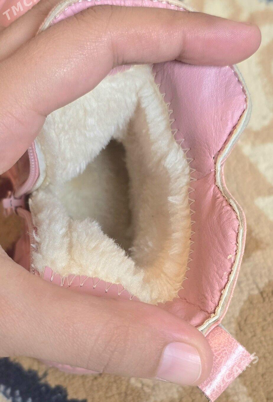 adik - Daşoguz - img 1