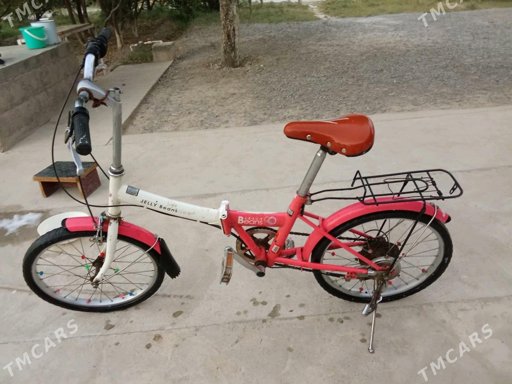 tigir - Кака - img 2