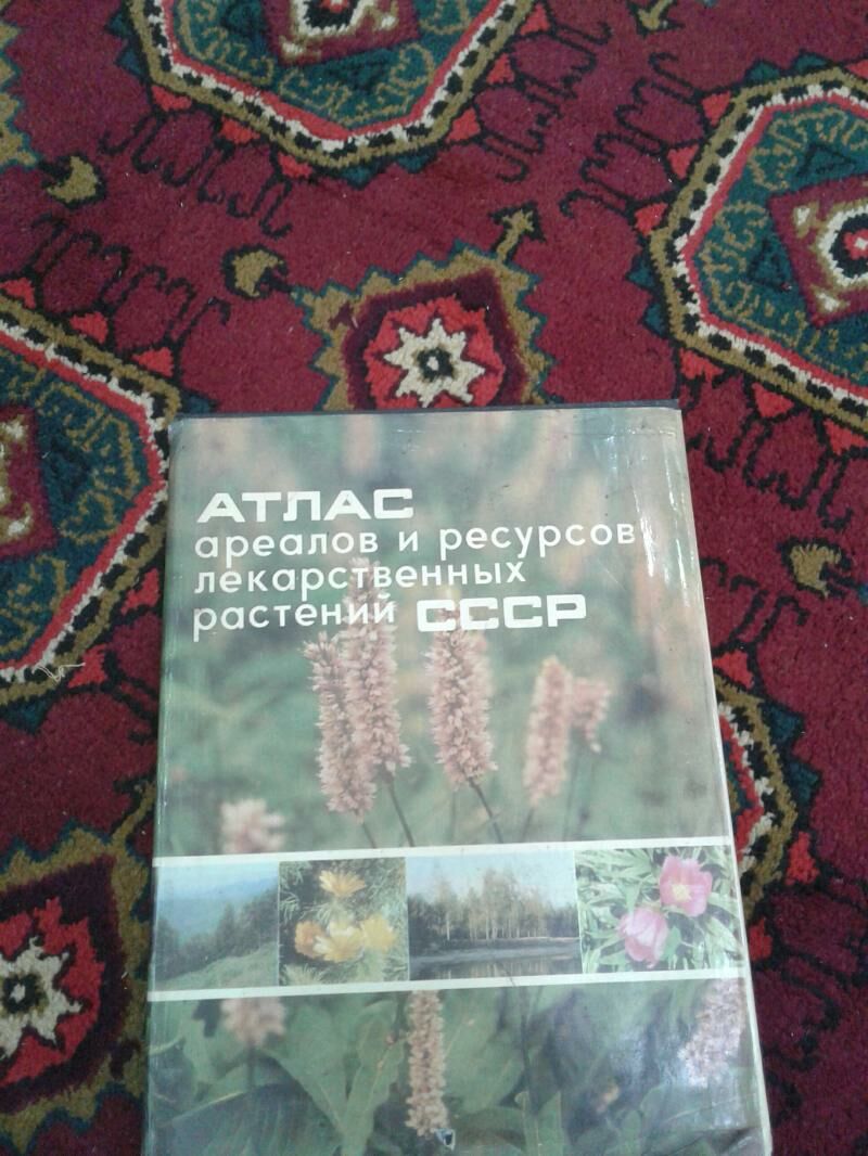 botanika растения derman otlar - Aşgabat - img 2