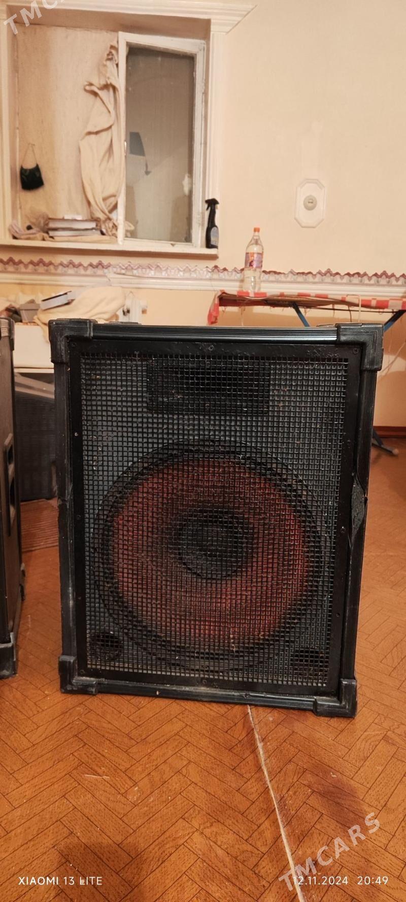 Toy kalonka - Сейди - img 2