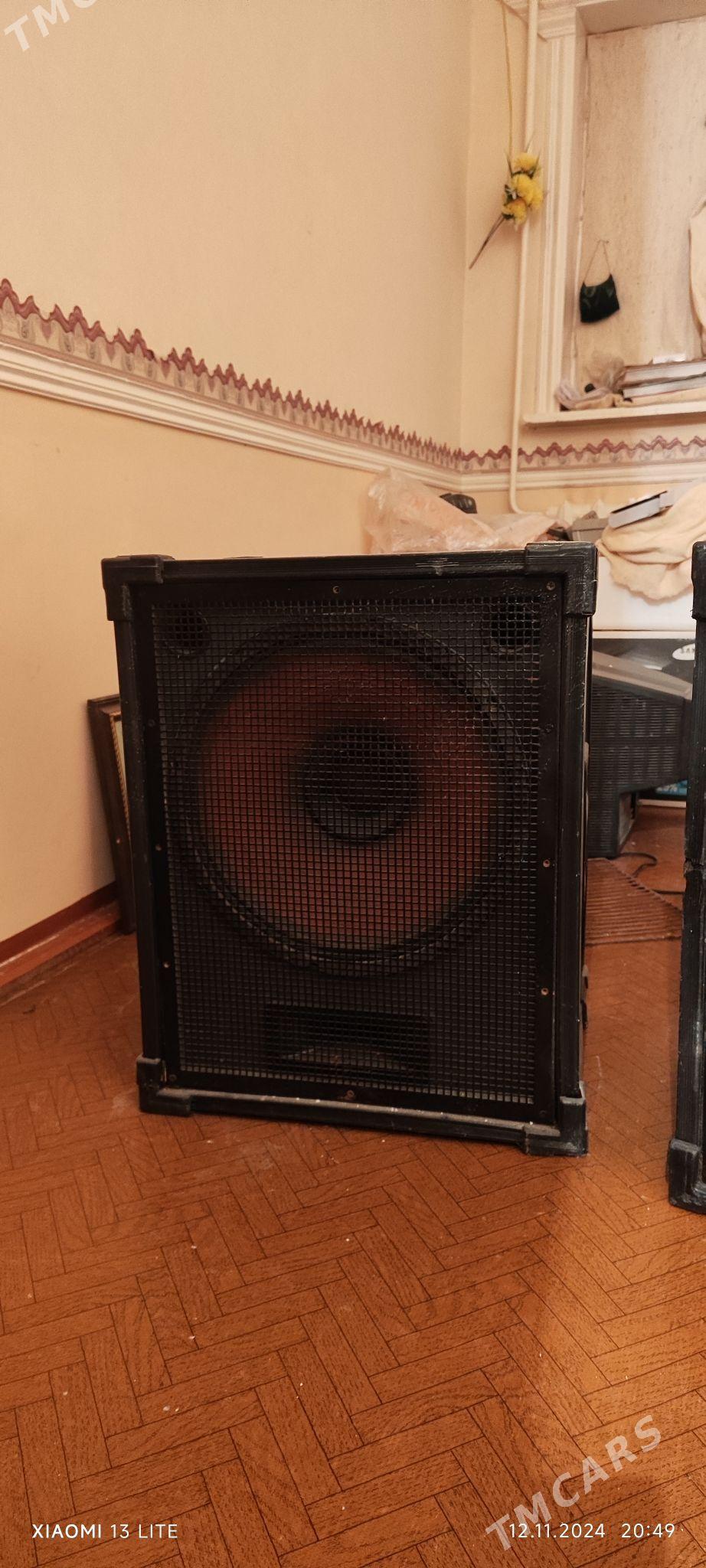 Toy kalonka - Сейди - img 1