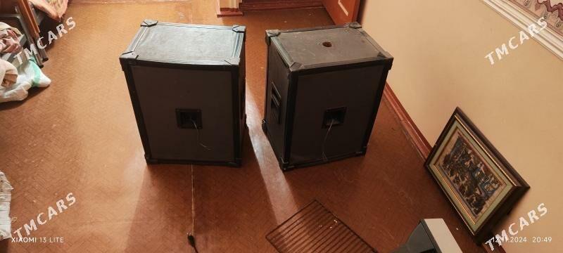 Toy kalonka - Сейди - img 4