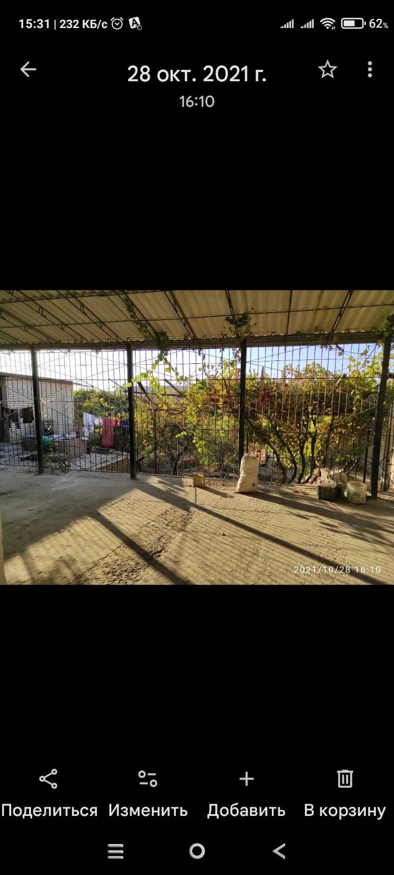 satlyk jay - Halaç - img 2