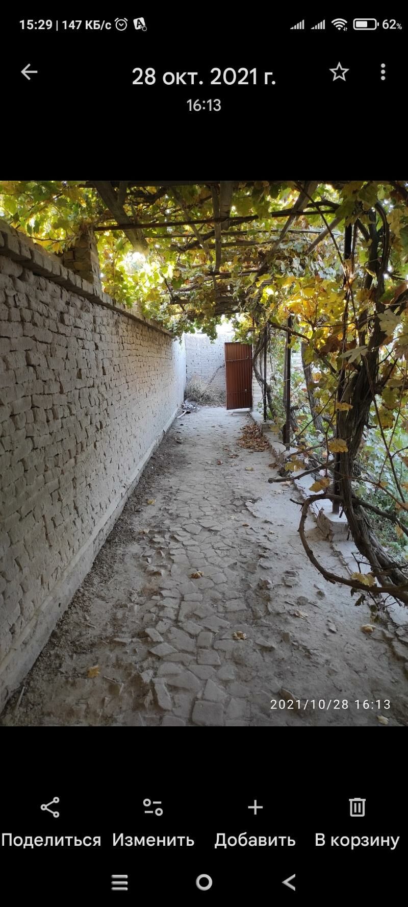 satlyk jay - Halaç - img 3