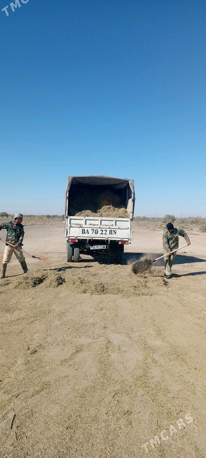 ýannak - Balkanabat - img 2