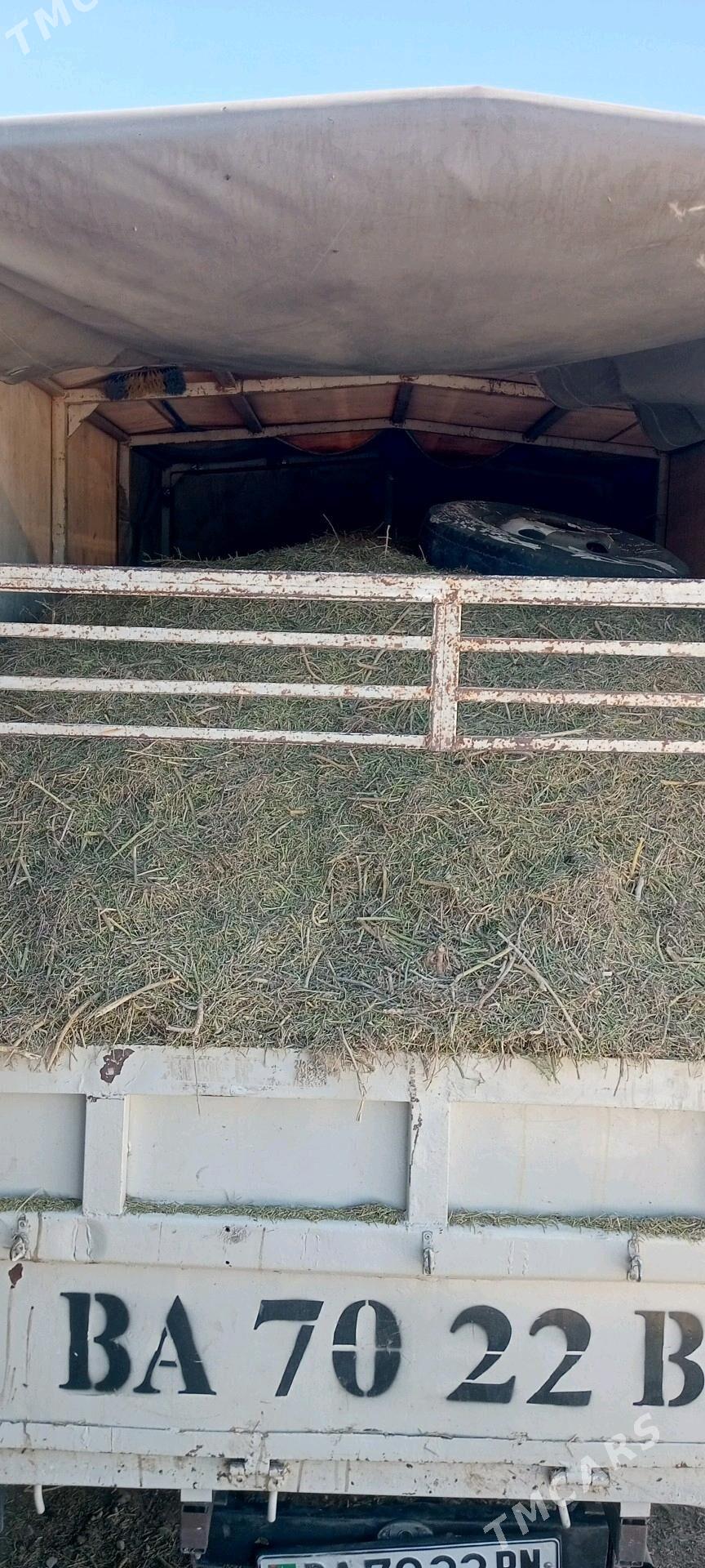 ýannak - Balkanabat - img 3