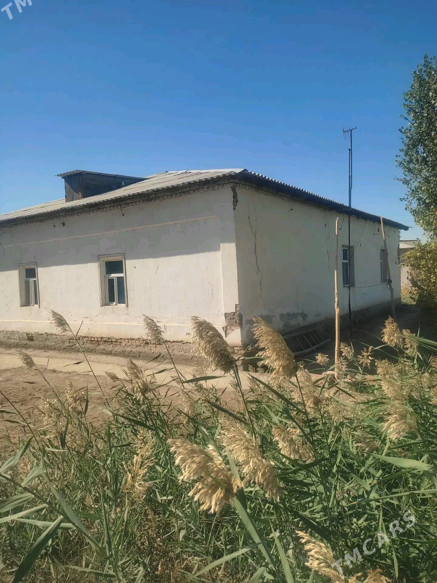 Satlyk jaý,uçaska - Шабатский этрап - img 5