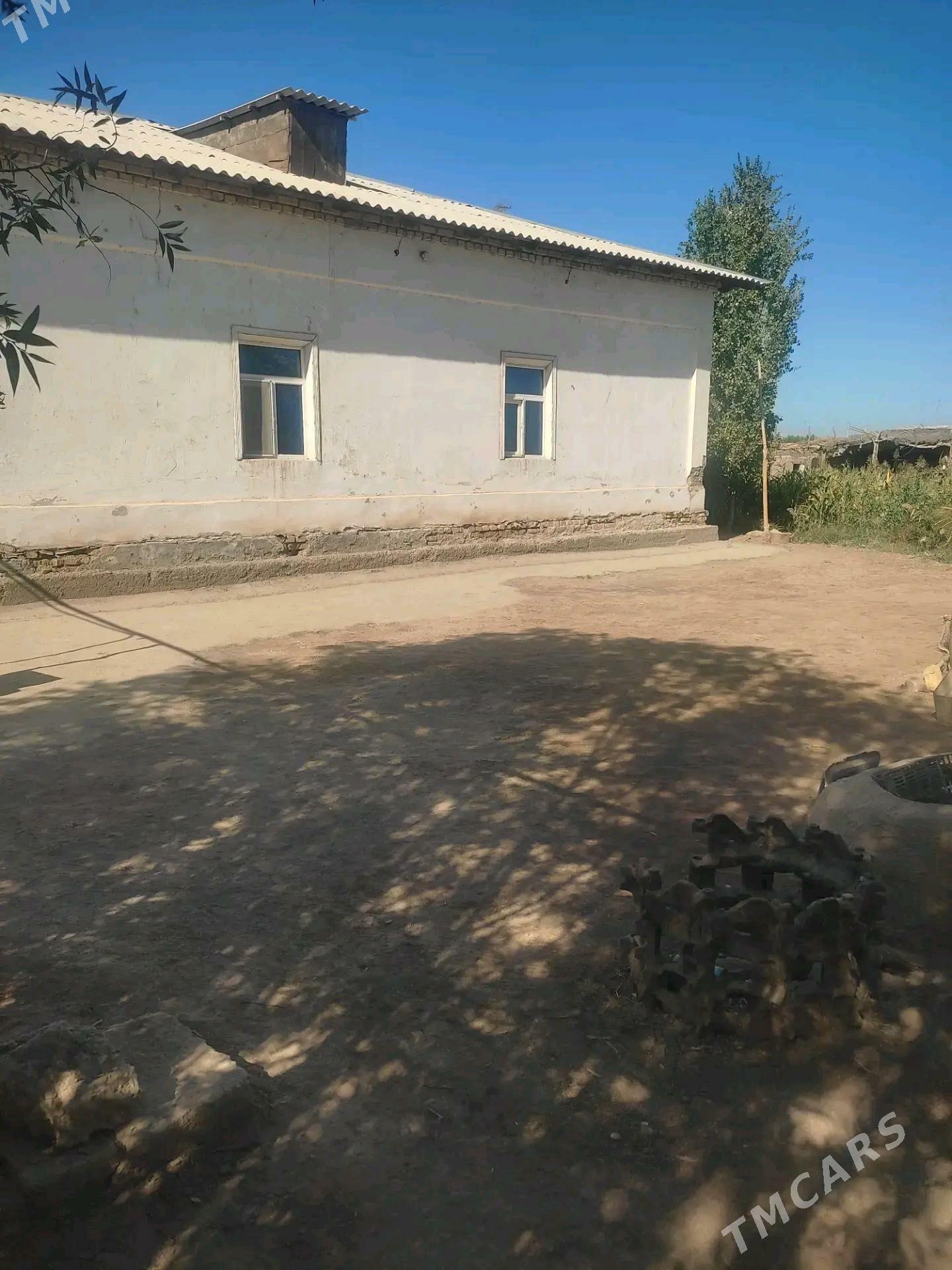 Satlyk jaý,uçaska - Шабатский этрап - img 2