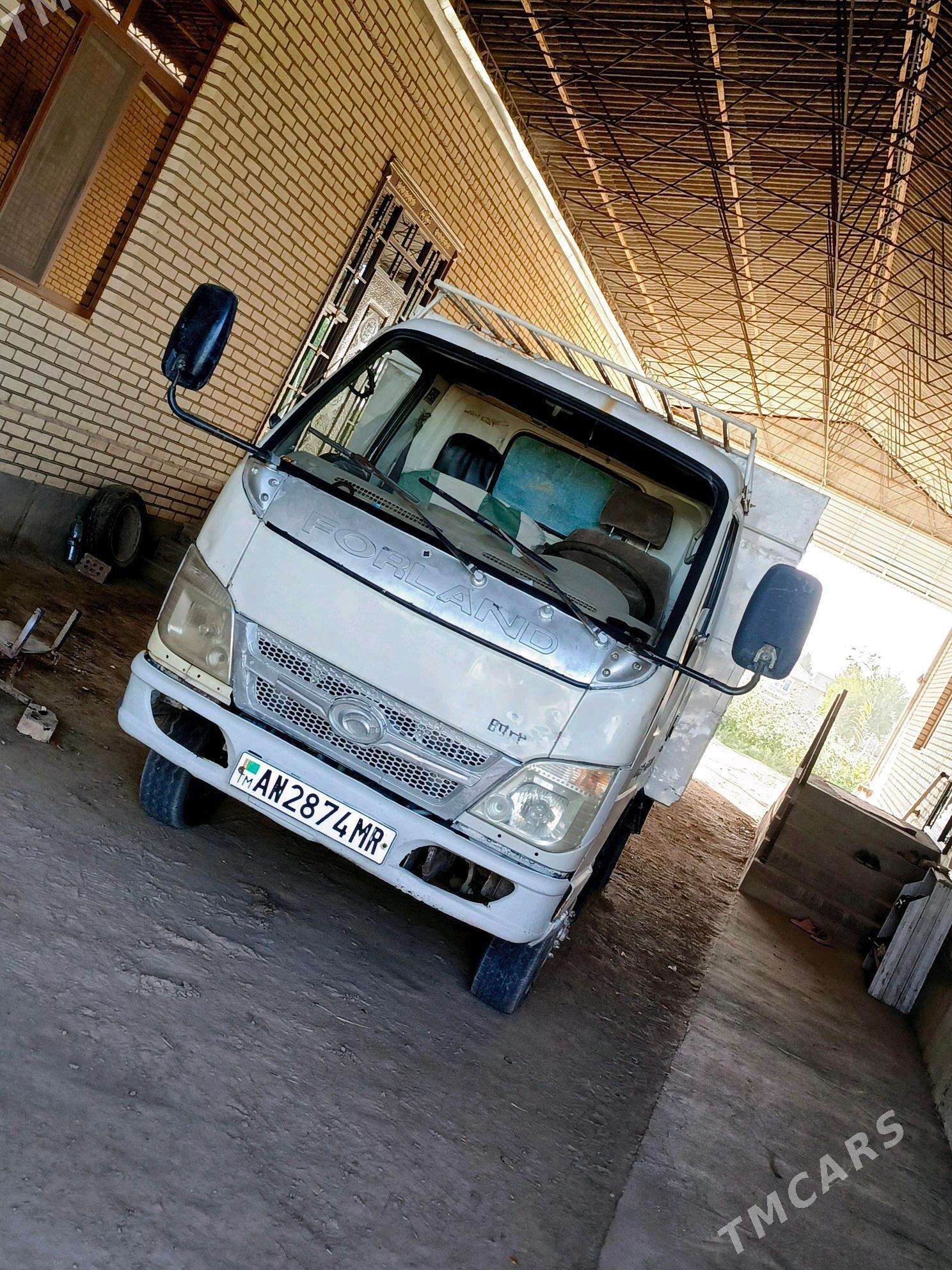 Forland H2 2010 - 90 000 TMT - Сакарчага - img 4