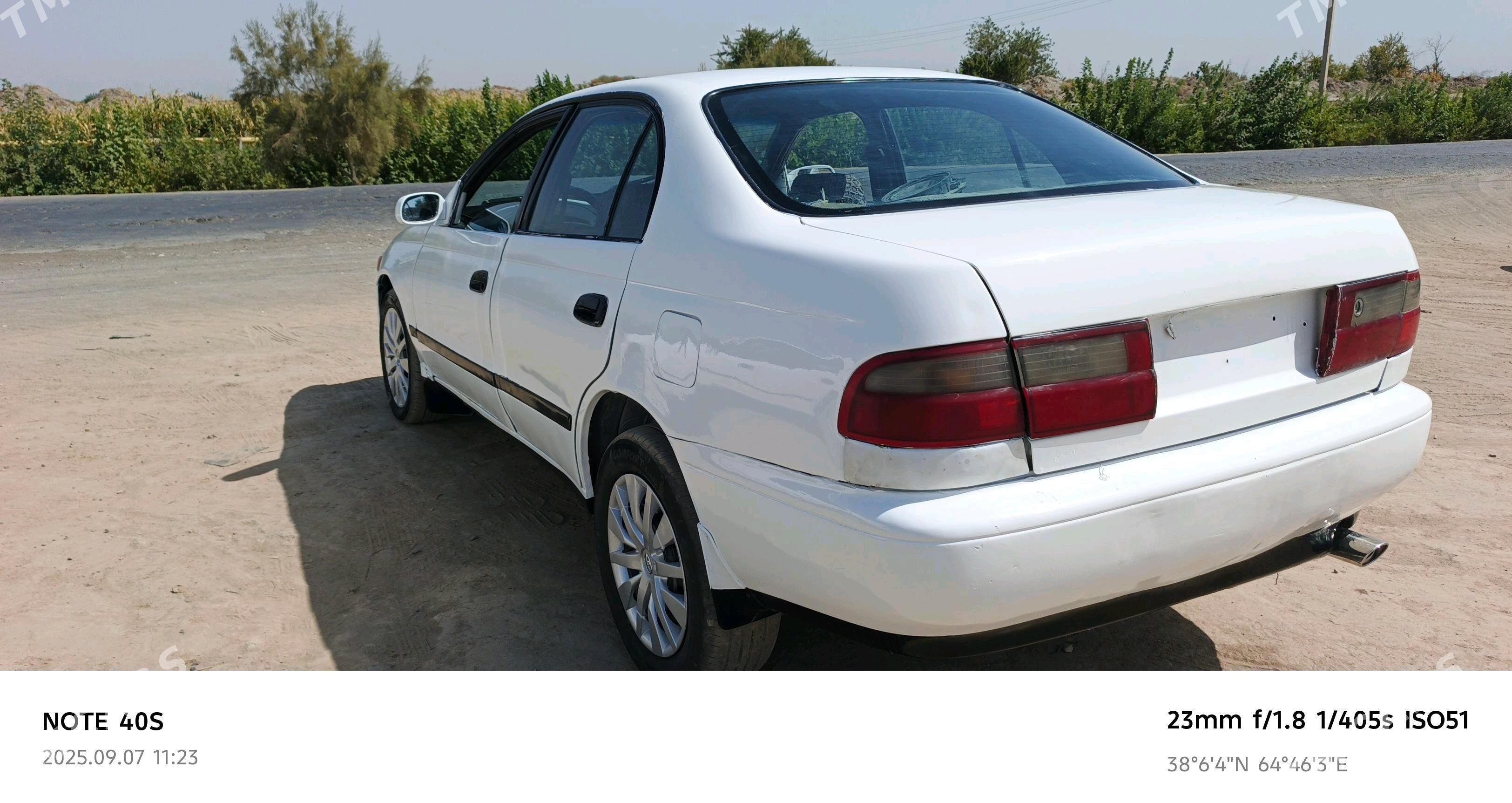 Toyota Corona 1993 - 35 000 TMT - Halaç - img 4