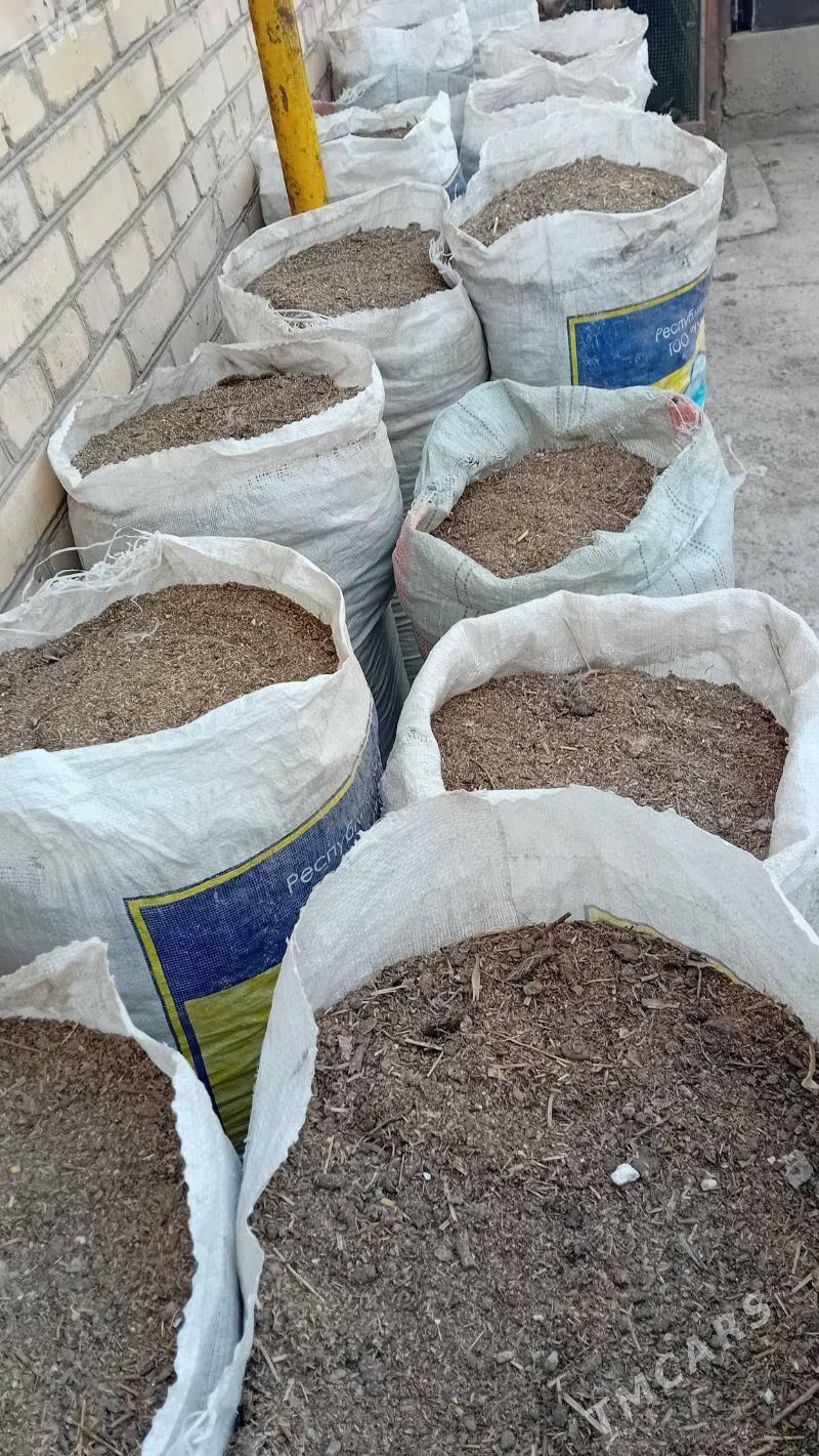 tovuk  nuru - Türkmenabat - img 2