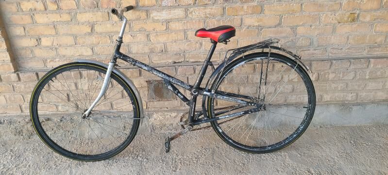 welsopet kama tigir - Mary - img 3