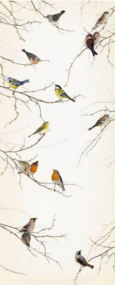 Фотообои - Мары - img 3